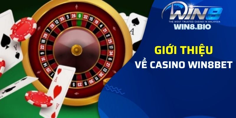 Thông tin về trang cược hàng đầu Win8bet