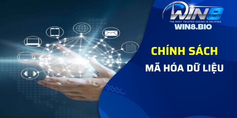 Chính sách bảo mật Win8bet quy định về vấn đề mã hoá dữ liệu