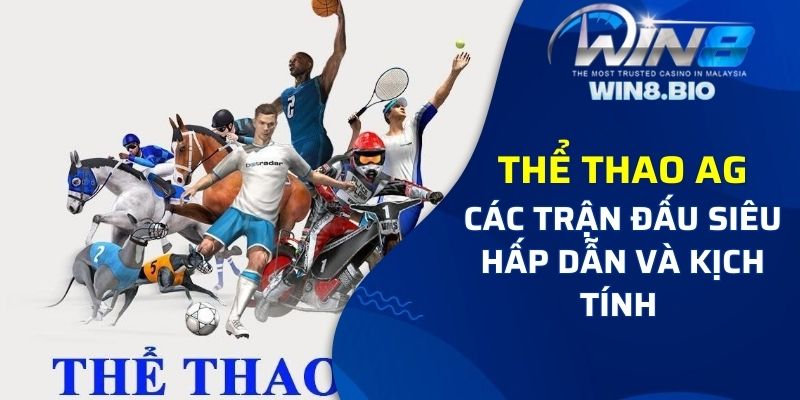 Tham gia cá cược thể thao AG với các trận đấu siêu kịch tính