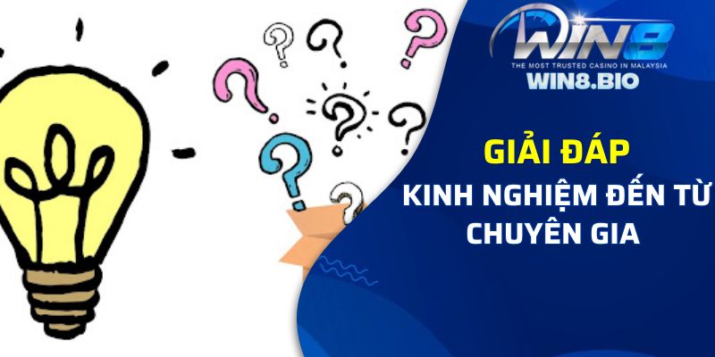 Giải đáp từ những chuyên gia cá cược hàng đầu tại Win8bet